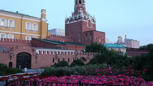 Moszkva Oroszország 2019 Szeptember Alexander Garden Kreml Közelében Moszkva Oroszország — Stock videók