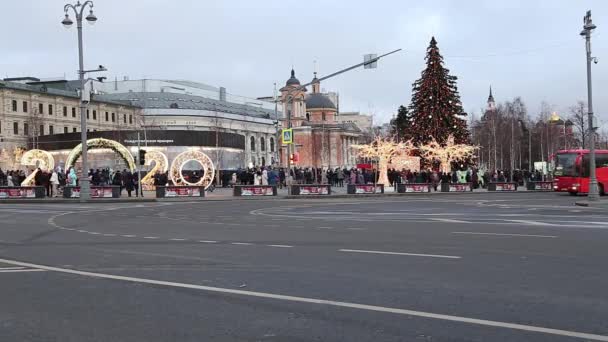 Mosca Russia Gennaio 2020 Decorazione Natalizia Festività Capodanno Nel Parco — Video Stock