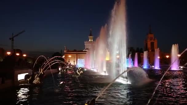 Moskva Ryssland Augusti 2019 Fountain Stone Flower Vdnkh Moskva Vdnkh — Stockvideo