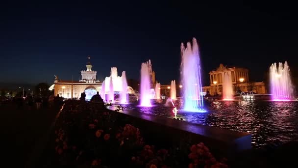 Moscow Russia August 2019 Fountain Stone Flower Vdnkh Moscow Vdnkh — Stock Video