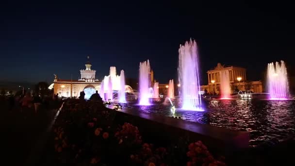 Μόσχα Ρωσία Αυγούστου 2019 Συντριβάνι Πέτρινο Λουλούδι Στο Vdnkh Στη — Αρχείο Βίντεο