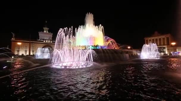 Moscow Russia August 2019 Fountain Stone Flower Vdnkh Moscow Vdnkh — Stock Video