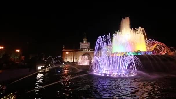 Moscow Russia August 2019 Fountain Stone Flower Vdnkh Moscow Vdnkh — Stock Video