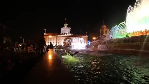 Moscow Russia August 2019 Fountain Stone Flower Vdnkh Moscow Vdnkh — Stock Video