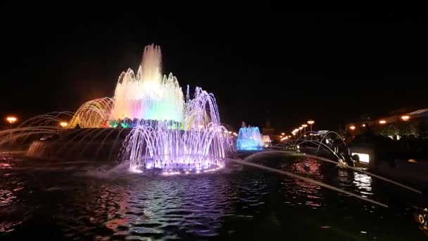 モスクワ ロシア 2019年8月30日 モスクワのVdnkhで噴水石の花 Vdnkh すべてのロシアの展示センターと呼ばれる モスクワ ロシアの恒久的な汎用貿易ショーです — ストック動画