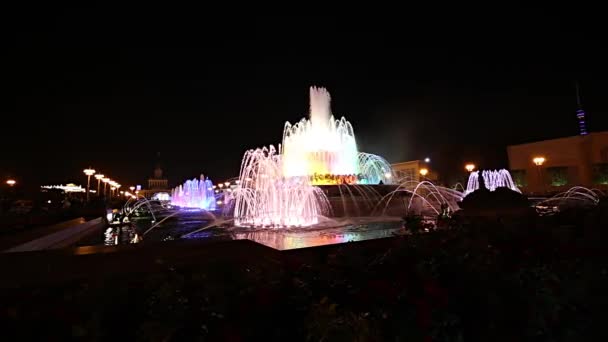 Moscow Russia August 2019 Fountain Stone Flower Vdnkh Moscow Vdnkh — Stock Video