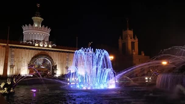 Moscow Venäjä Elokuu 2019 Fountain Stone Flower Vdnkh Moskovassa Vdnkh — kuvapankkivideo