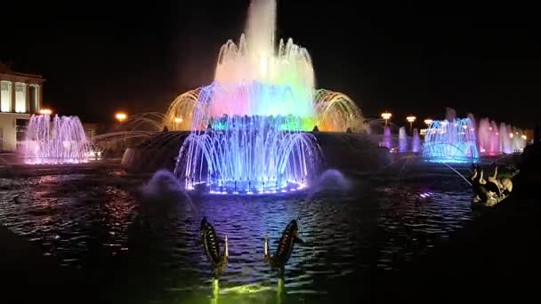 莫斯科 俄罗斯 2019年8月30日 莫斯科Vdnkh喷泉石花 Vdnkh 也称为全俄罗斯展览中心 是俄罗斯莫斯科的永久性通用贸易展 — 图库视频影像