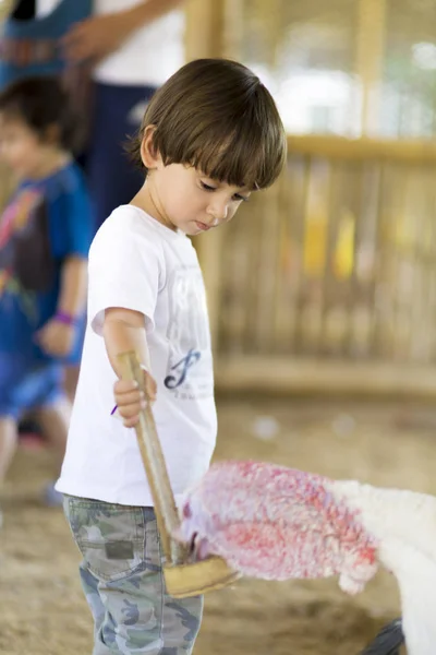 Little Boy feeds Turkey — Stock Photo, Image