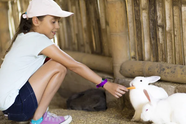 Menina feliz alimenta coelho — Fotografia de Stock