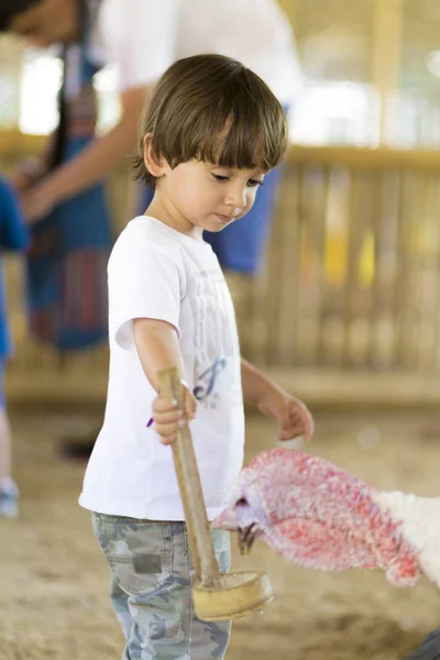 Little Boy alimenta a Turquía — Foto de Stock