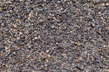 Yerdeki çürük meyve