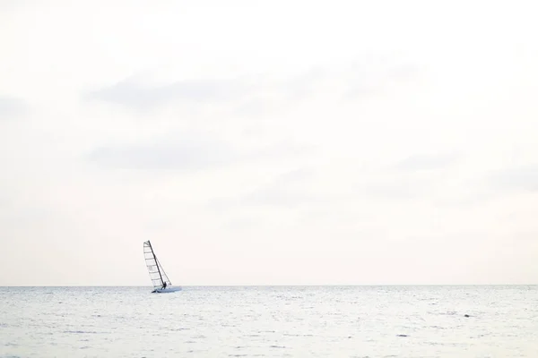 Happy man sailing catamaran in beautiful sunset