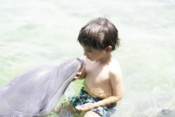 Wakacje życia-chłopiec szczęśliwy tulenie delfina — Zdjęcie stockowe