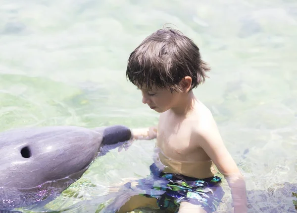 Vacation Lifestyle -Happy Boy hugging a dolphin — Stock Photo, Image