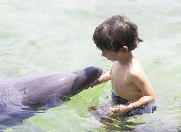 Διακοπές στον τρόπο ζωής-Happy αγόρι αγκαλιάζει ένα δελφίνι — Φωτογραφία Αρχείου