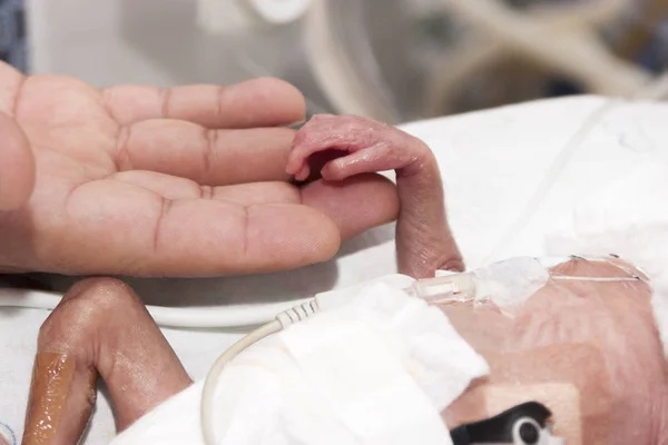 Recém-nascido e mão — Fotografia de Stock