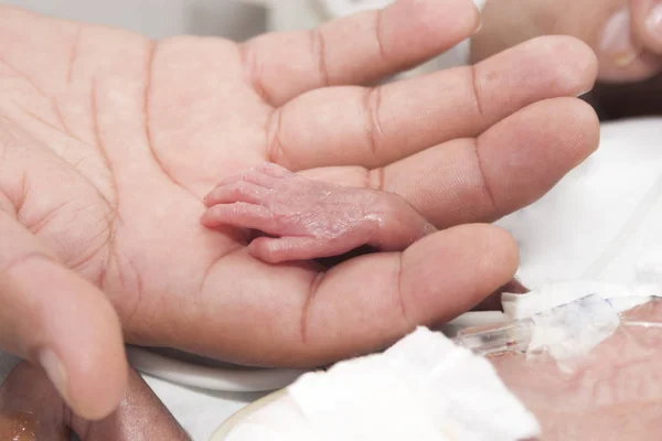 Nyfödda och hand — Stockfoto