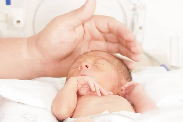 Bebé recién nacido dentro de la incubadora —  Fotos de Stock
