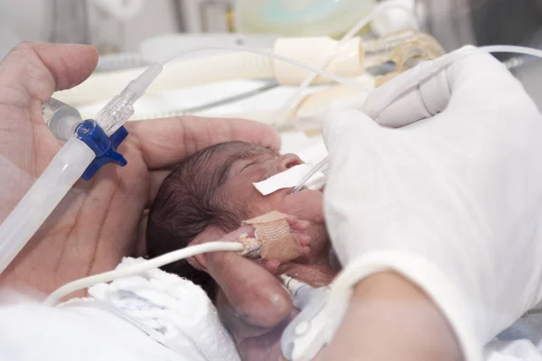 Recém-nascido e mão — Fotografia de Stock