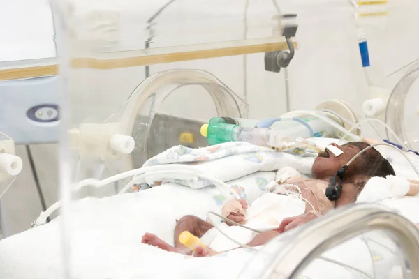 Newborn baby inside incubator — Stock Photo, Image