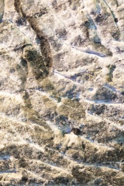 Güzel Arkaplan Taşı (Tuz)