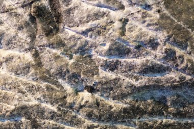 Güzel Arkaplan Taşı (Tuz)