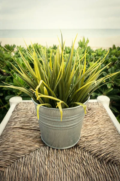 Abstract green plant — Stock Photo, Image