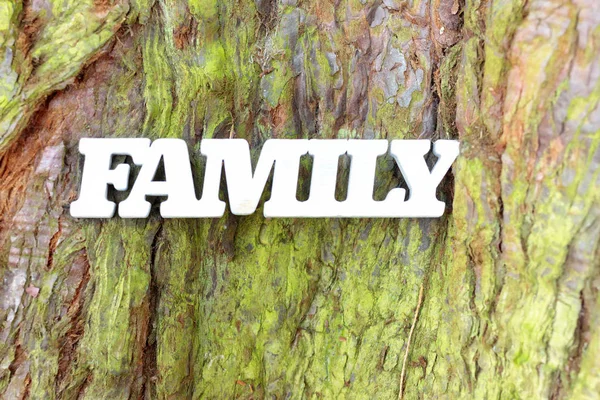 White family sign on old tree trunk texture — Stock Photo, Image