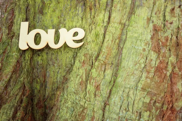 Segno di amore in legno sulla struttura del tronco d'albero — Foto Stock