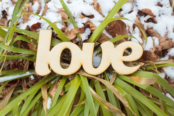 Segno di amore in legno all'aperto a terra con erba verde e neve — Foto Stock