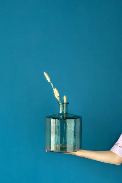 Frau hält Glasvase mit trockener Grasblume gegen blaue Wand — Stockfoto