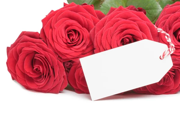 Tarjeta en blanco con rosas — Foto de Stock