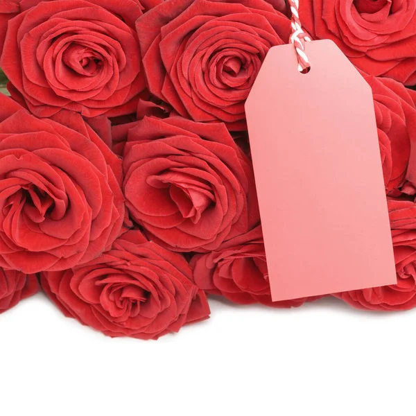 Pusta kartka z różami — Zdjęcie stockowe