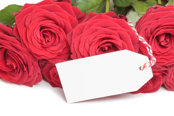 Tarjeta en blanco con rosas — Foto de Stock