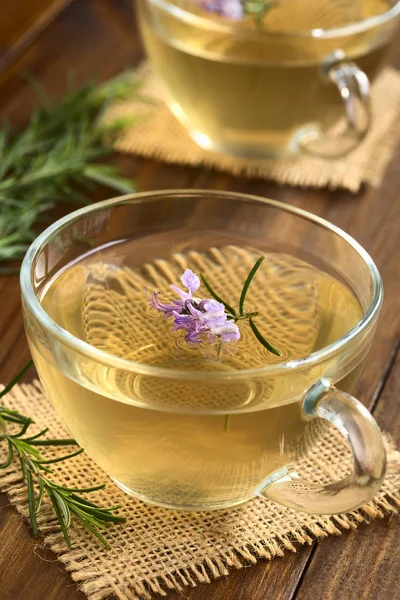 Freshly Prepared Rosemary Herbal Tea Glass Cups Garnished Rosemary Flowers — Stock Photo, Image