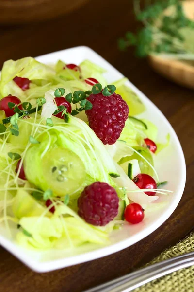 Frisse Salade Van Frambozen Kruisbessen Rode Bessen Komkommer Ijsbergsla Besprenkeld — Stockfoto