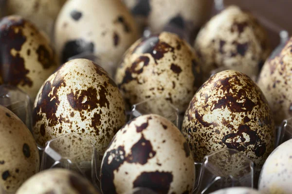 Doğal ışık (seçici odak, görüntüye üçte iki yumurta ön odak ile fotoğraflandı taze çiğ Bıldırcın yumurta yumurta kutusundaki)