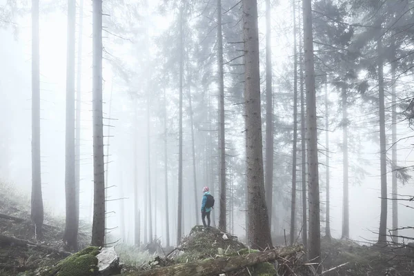 Caminhante na floresta nebulosa — Fotografia de Stock