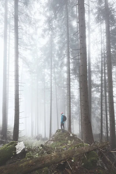 Wandelaar in mistige bos — Stockfoto