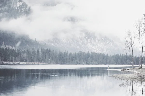 Turista no lago de montanha de inverno — Fotografia de Stock