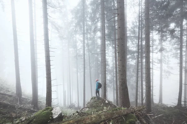 Hiker in misty forest Stock Picture