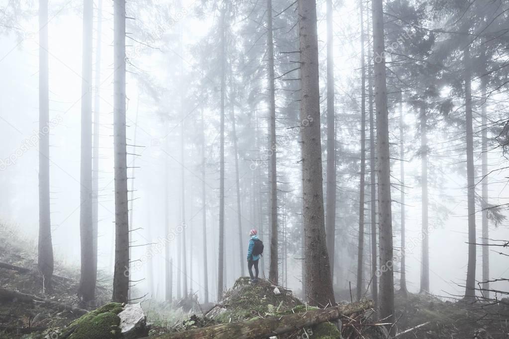 Hiker in misty forest