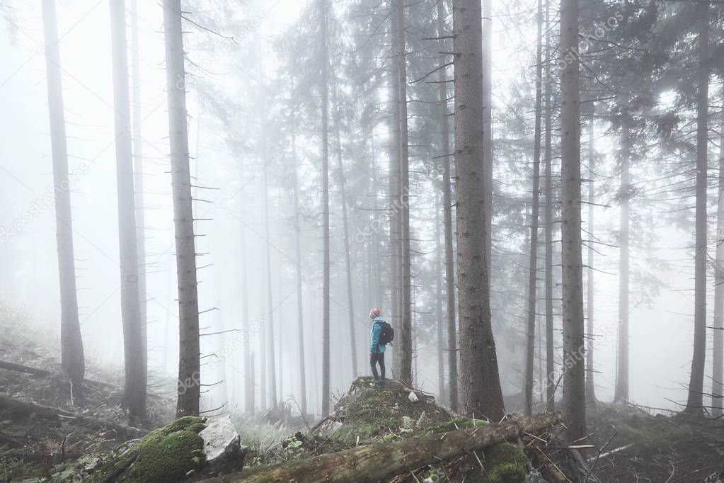 Hiker in misty forest