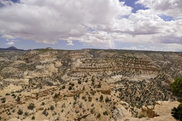 Sandsteinwüsten New Mexico — Stockfoto