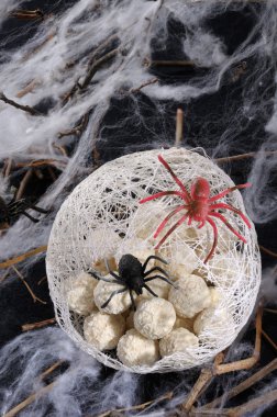 spider eggs in a cocoon clipart