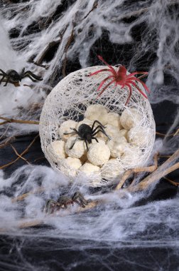 bir koza içinde örümcek yumurta