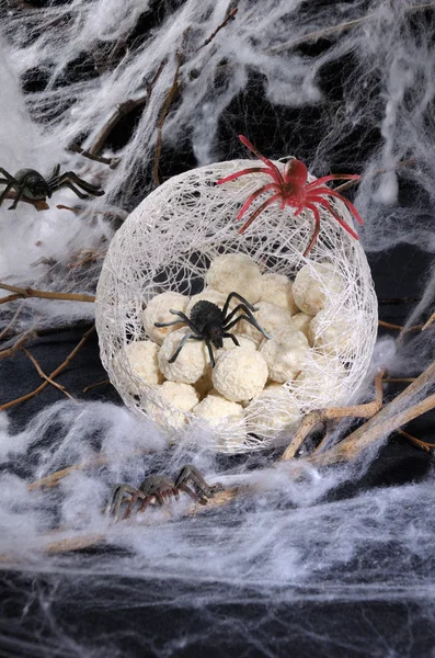 Spider eggs in a cocoon — Stock Photo, Image