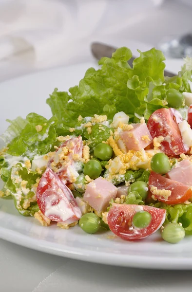 Många ingredienser sallad — Stockfoto