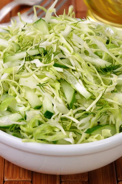 Salad with cucumber coleslaw — Stock Photo, Image
